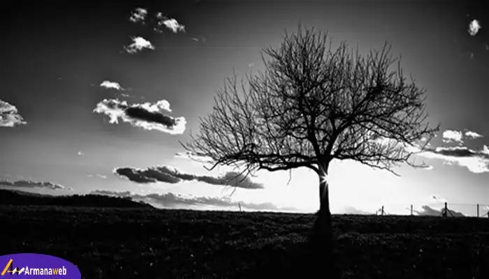 کنتراست عنصر کلیدی است در عکاسی صنعتی